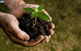 Soil conditioner